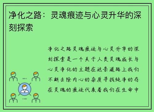 净化之路：灵魂痕迹与心灵升华的深刻探索